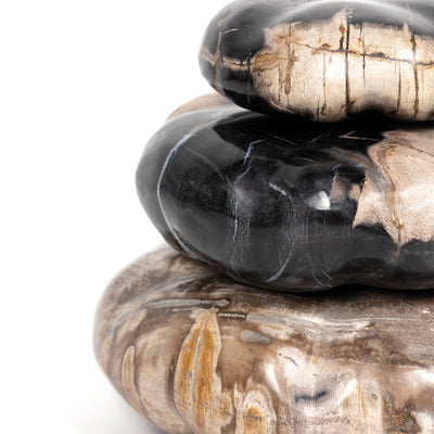 PETRIFIED WOOD ORGANIC SCULPTURE-DARK