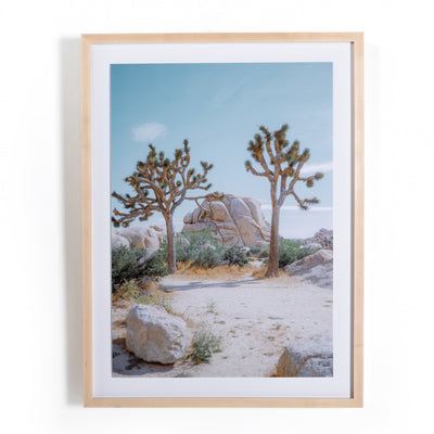 JOSHUA TREE IV BY SARAH ELLEFSON